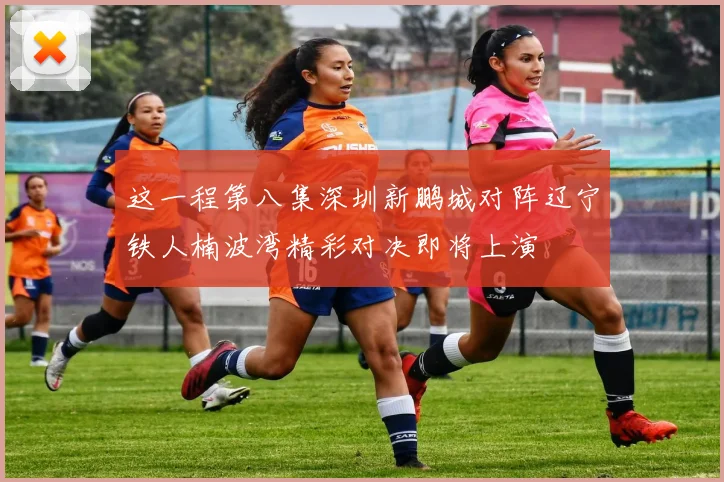 这一程第八集深圳新鹏城对阵辽宁铁人楠波湾精彩对决即将上演